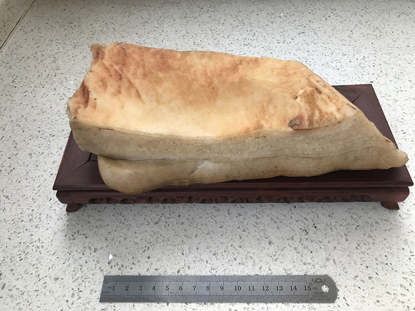 天然带皮肥肉石
